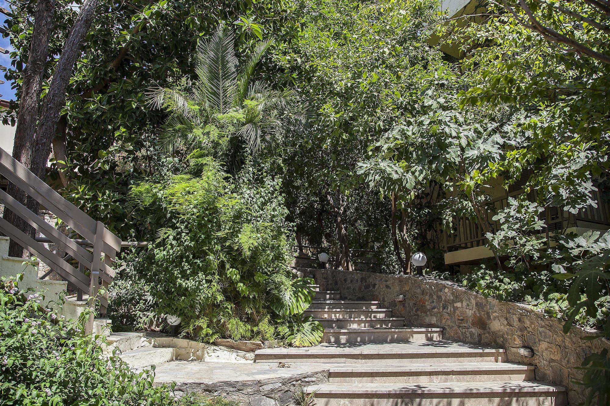 איסטרו Elpida Village מראה חיצוני תמונה